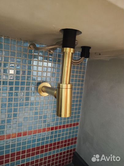 Раковина золотая бу