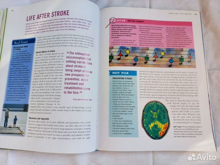 Как максимально использовать свой мозг