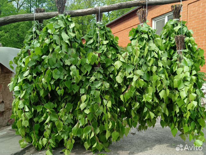 Веники для бани