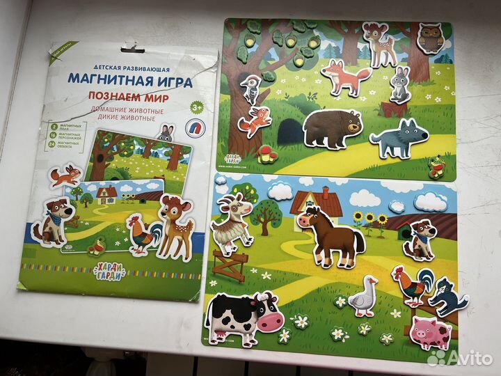Магнитная игра