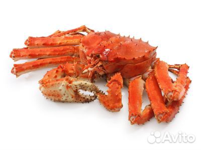 Краб Камчатский Супер Размер, сварен сегодня