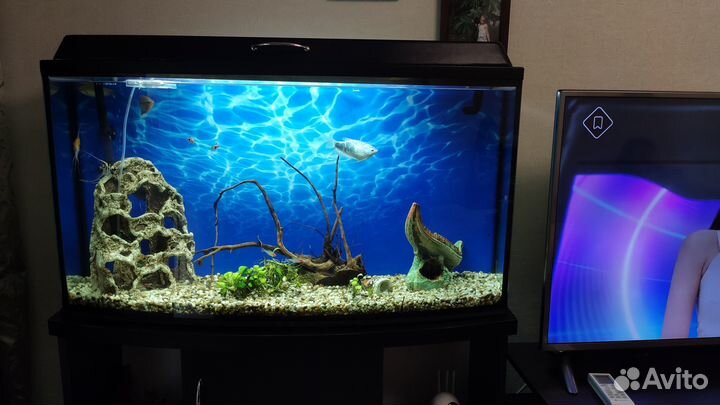 Аквариум с рыбками бу
