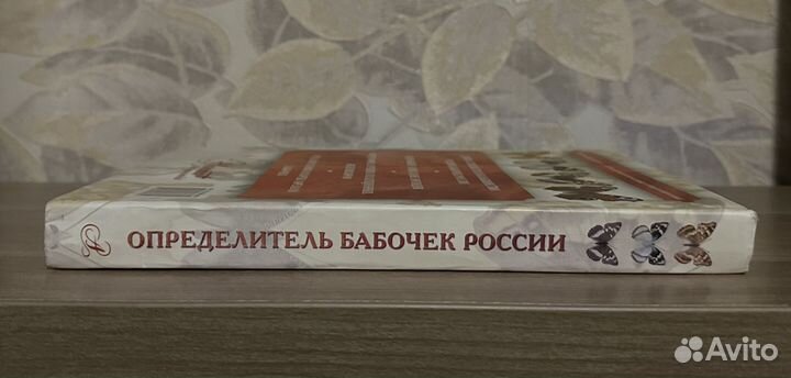 Определитель бабочек России. Дневные бабочки