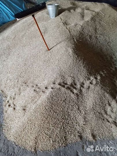 Озимый ячмень в мешках