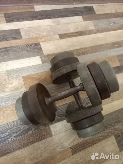 Гантели разборные