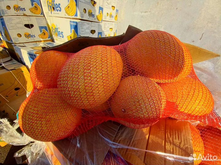 Дыня Колхозница желтая кг