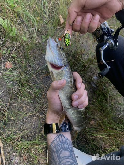 Воблер, вертушка, попер