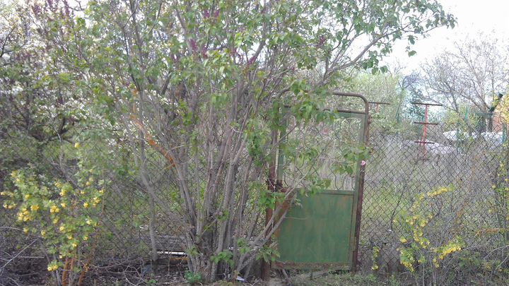 Участок 7 сот. (СНТ, ДНП)