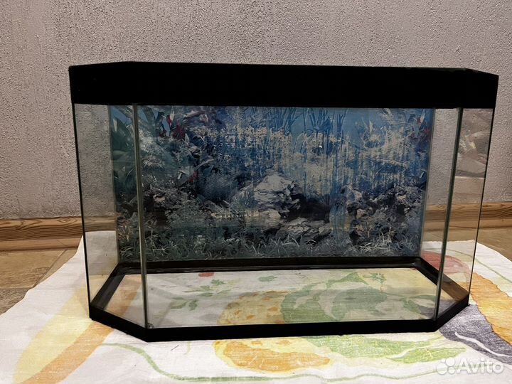 Аквариум террариум