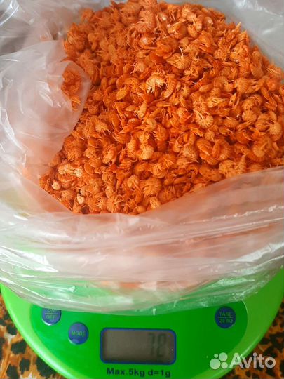 Корм для рыбок аквариумных Гаммарус