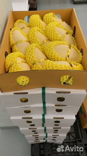 Экзотические фрукты оптом из Таиланда