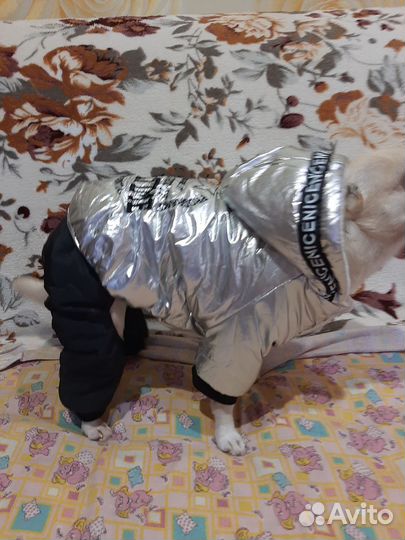 Зимний комбинезон для мини собачек