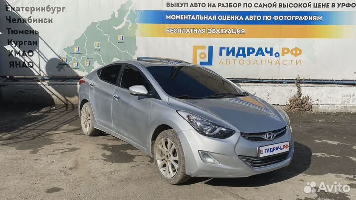 Направляющая стекла двери заднего правого Hyundai Avante (MD) 835203X000