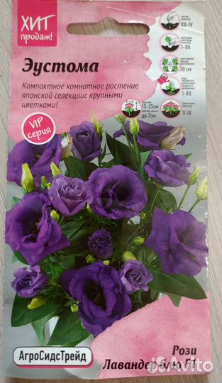 Эустома рассада