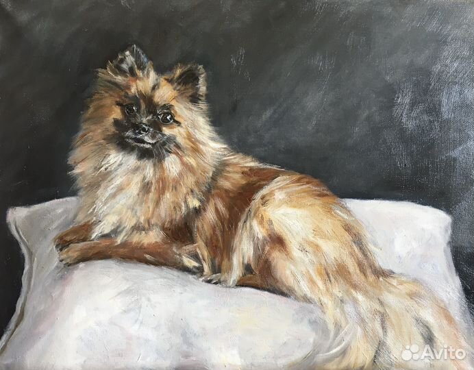 Портрет кошки, собаки на заказ