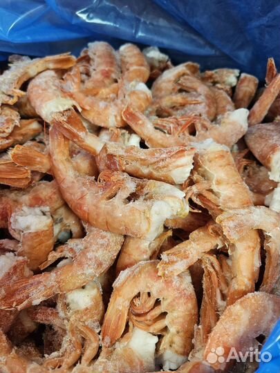Креветка аргентинская С1
