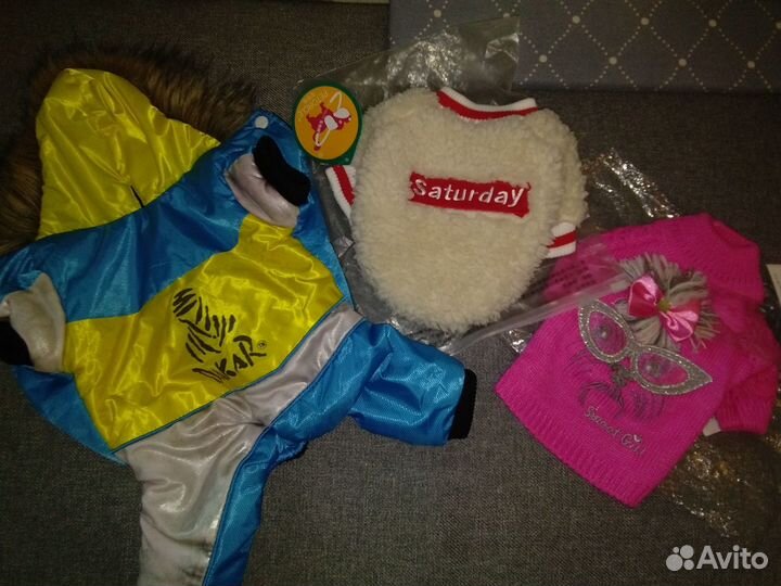 Вещи для маленьких собак