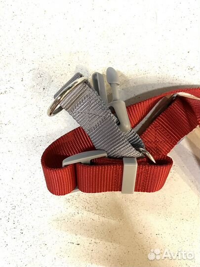 Шлейка с поводком для собаки новая