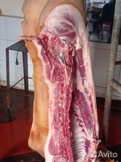 Мясо свинина