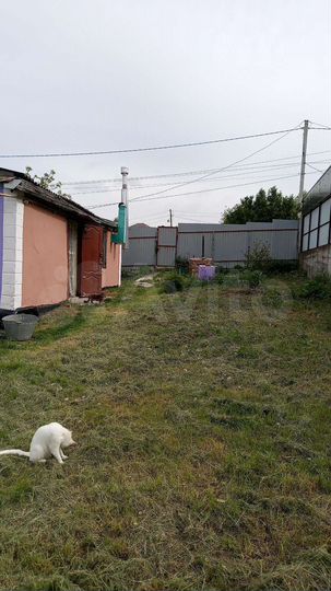 Дом 31 м² на участке 6,8 сот.