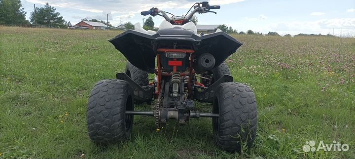Kayo tor 250