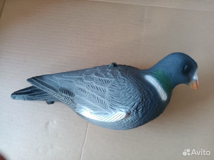 Голубь, вихарь