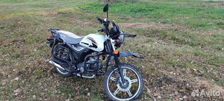 Аlpна fоrеstеr RS 11