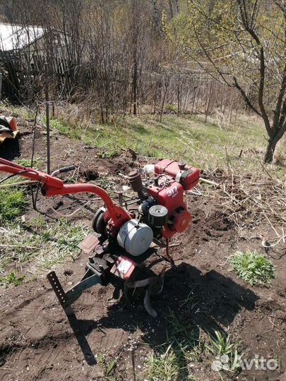Мотоблок салют бу