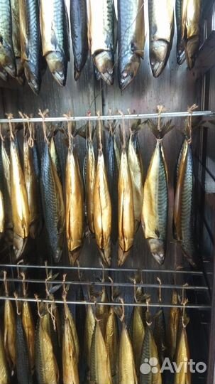 Коптильня холодно /горячего копчения