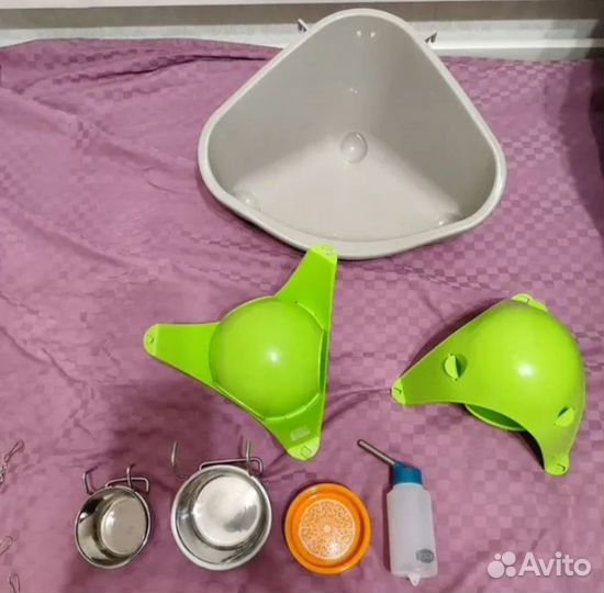 Крысы сфинксы