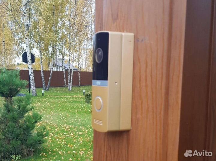 CTV-D4003NG Выз. Панель Full HD (шампань)