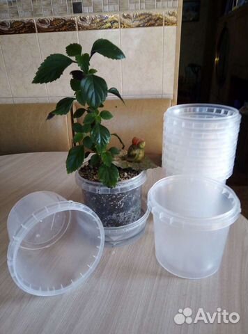 Кашпо для цветов