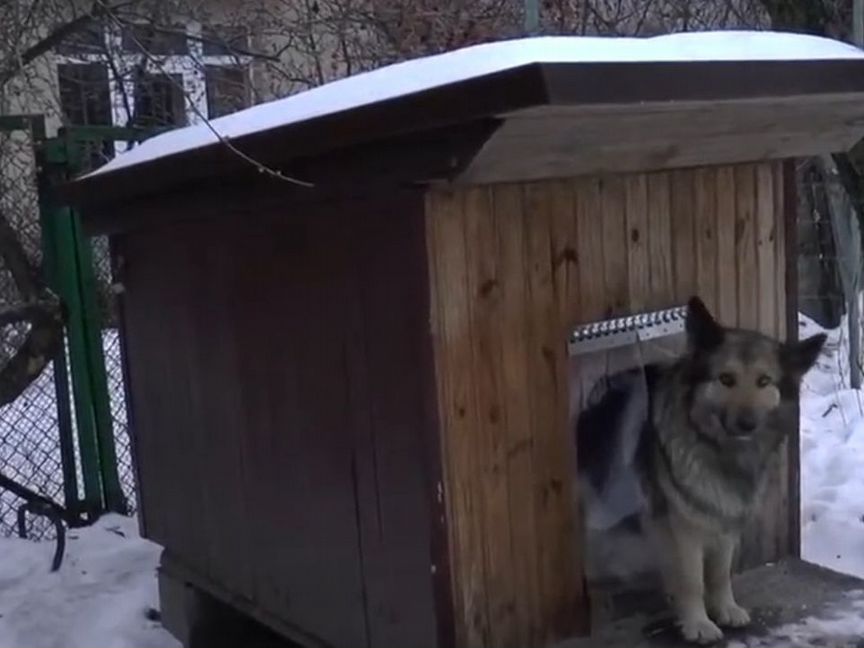 Завеса/шторка для сабачьей будки/конуры