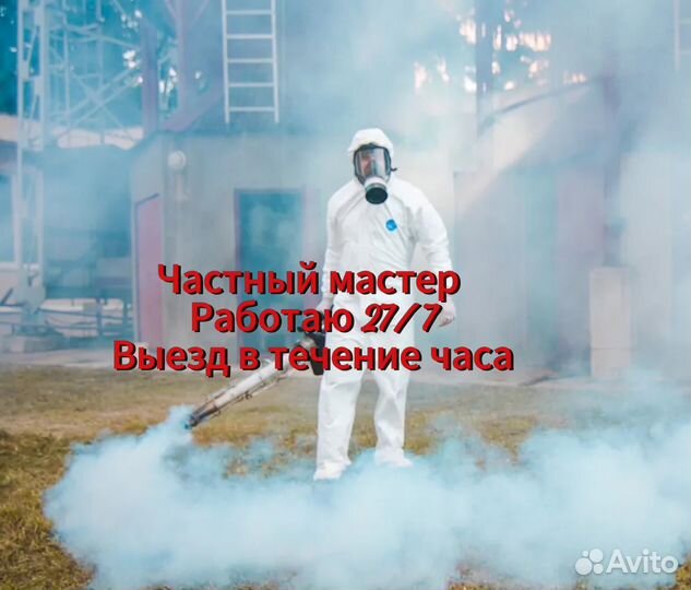 Уничтожение насекомых.Обработка от клопов