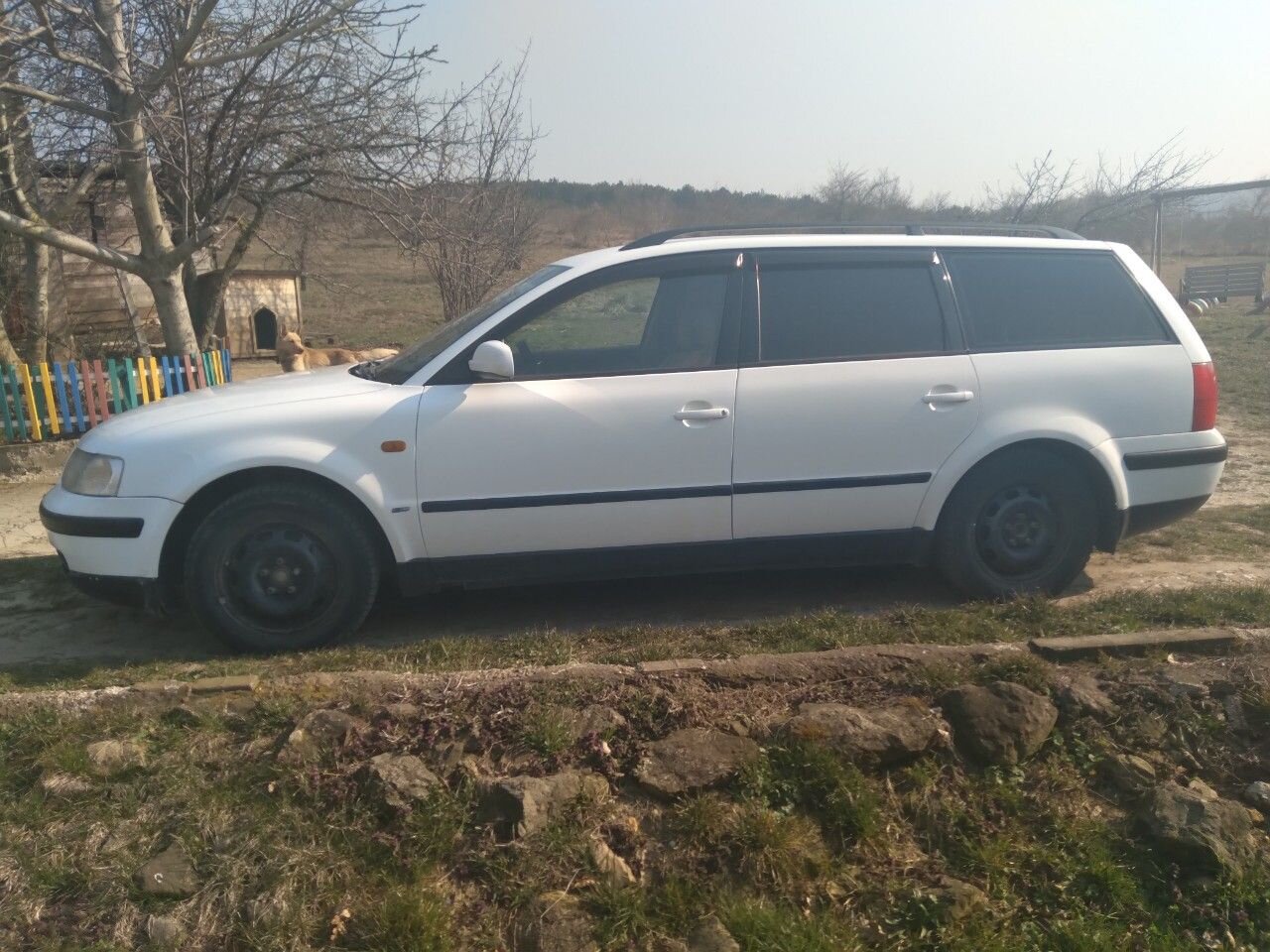 Volkswagen Passat: фото владельца