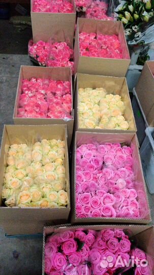Срезанные Розы напрямую из теплиц цветы