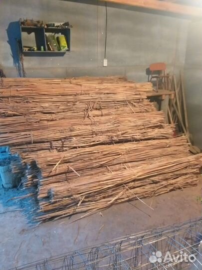 Камыш в пучках