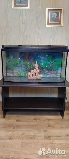 Аквариум