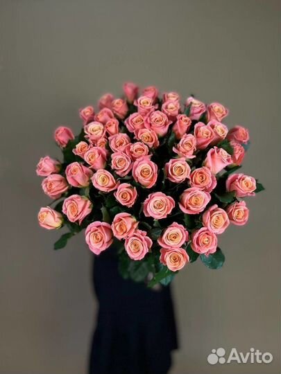 Роза Мисс Пи 51 шт