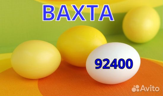 Работа вахтой упаковщик на птицефабрику