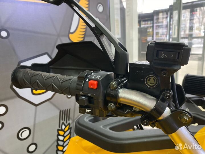 Квадроцикл Wild track X PRO 200 Motoland