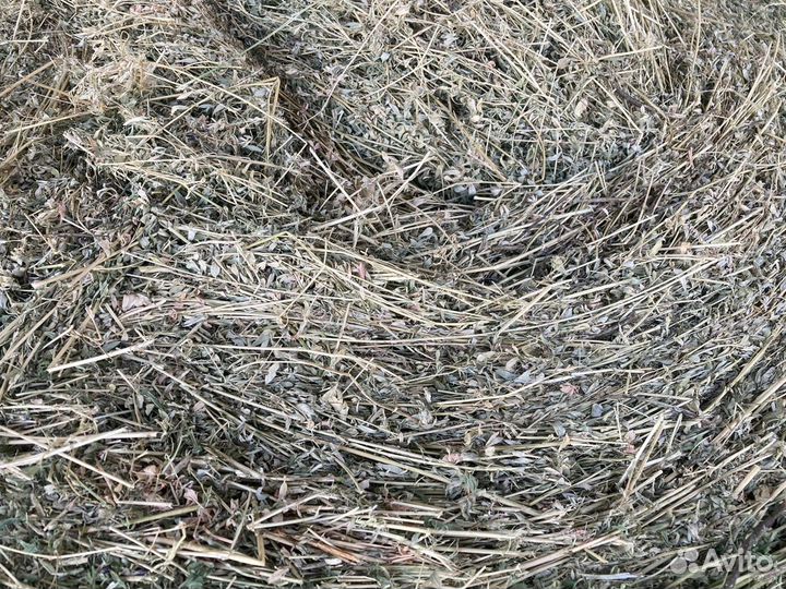 Сено в рулонах