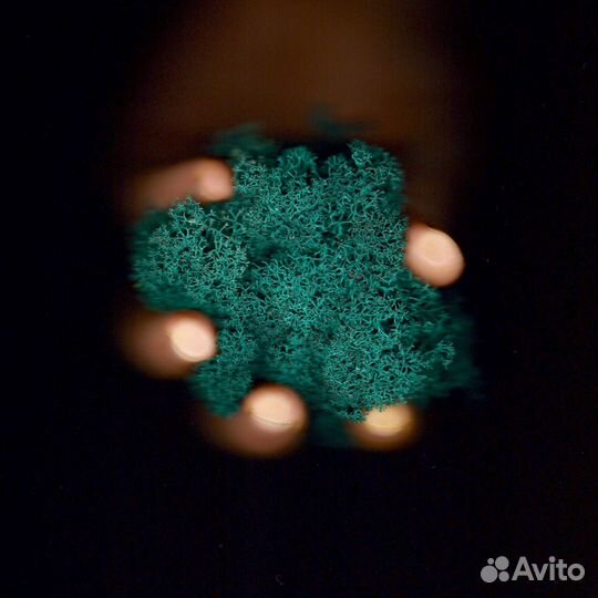 Стабилизированный Мох, Красный