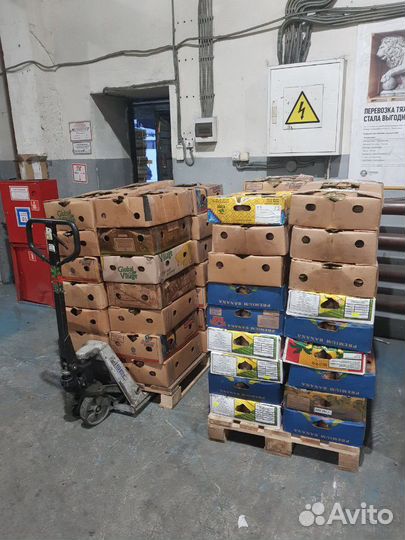 Печень трески