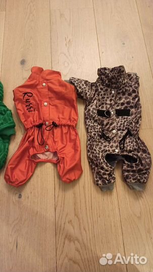 Пакет одежды для маленькой собаки