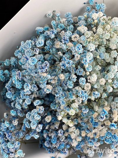 Гипсофила букет цветы