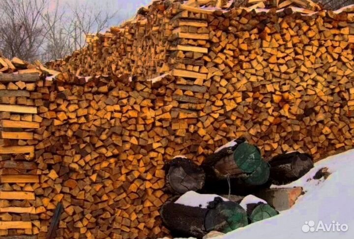 Дрова в область