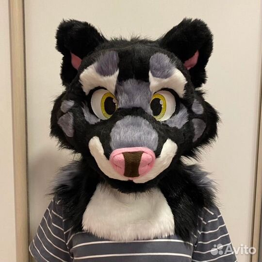 Фурсьют хорёк