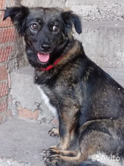 Девочка в добрые ручки