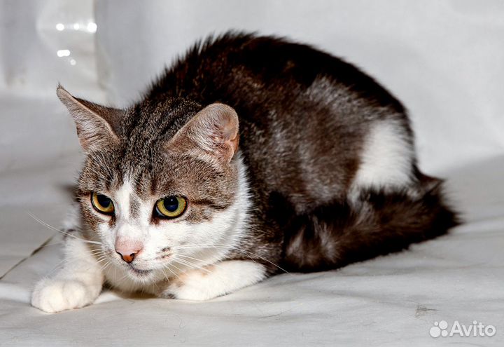 Нежная скромница ищет свое счастье